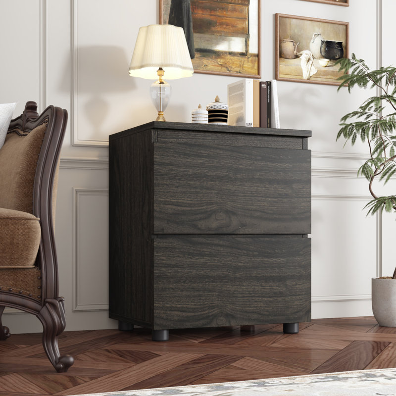 19'' H X 15.7'' W 2-Drawer Nightstand(Single), Dark Walnut