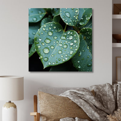 «Aqua Leaves Photo Harmony I» sur toile