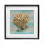 «Coastal Teak Clam Shell», reproduction encadrée sous verre, conception de Paul Brent-1333636607-1333636604
