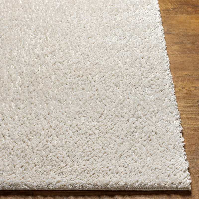 Lizan Shag Area Rug, Rectangle 120 x 170cm
