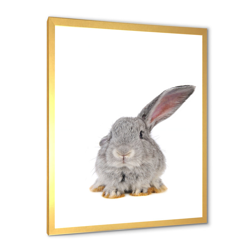 Portrait d'un lapin gris I - photographie sur toile, Cadre doré, H 32 po x l 24 po