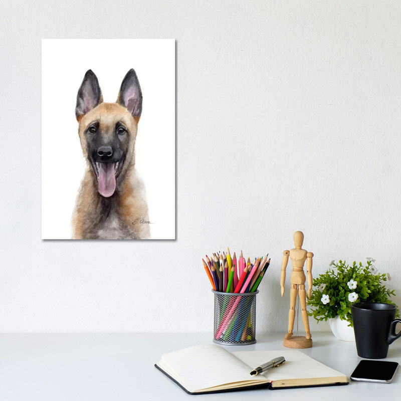 Belgian Malinois Puppy 1 Piece Wrapped Canvas Wall Art, 30.48 cm H  x 20.32 cm W