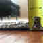Photos des clients 3 de 4