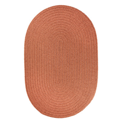 Smyth Hand Braided Synthetic Indoor Rug