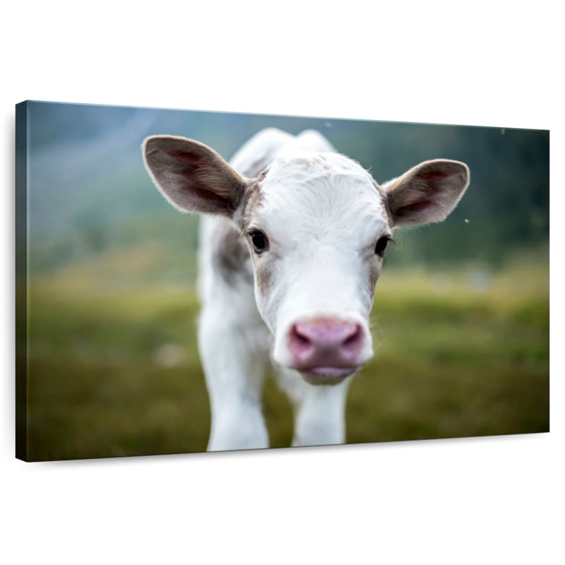Brampt Small Cow, 24" H x 36" W