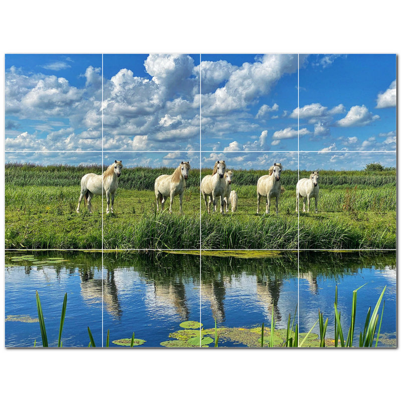 Photo de cheval 8 x 8