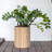 Morry Cylinder Planter Box