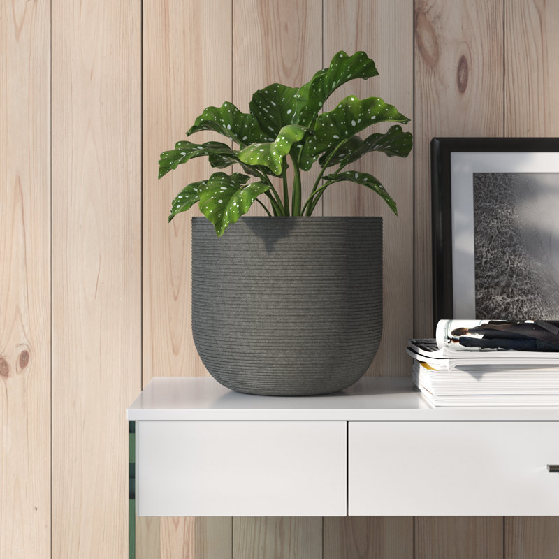 Pot de fleurs Crompond Fiberstone, H 14,5 po x l 16,5 po x P 16,5 po, gris