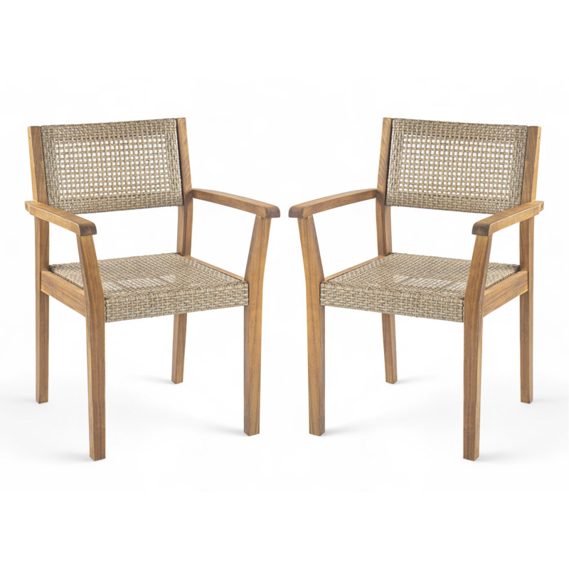 Chaise de salle à manger d'extérieur (ensemble de 2)