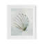 «Grey Seashell Serenity», reproduction encadrée sous verre, design par Hannah Dawson-1875430014-1875430015