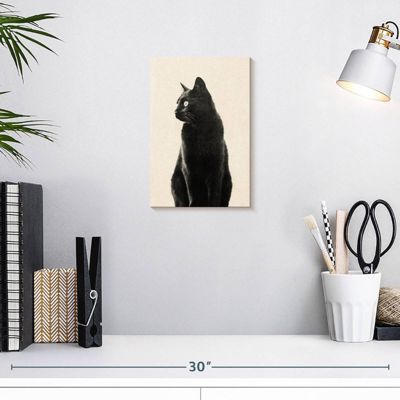 Chat noir Brampt beige, H 12 po x l 8 po
