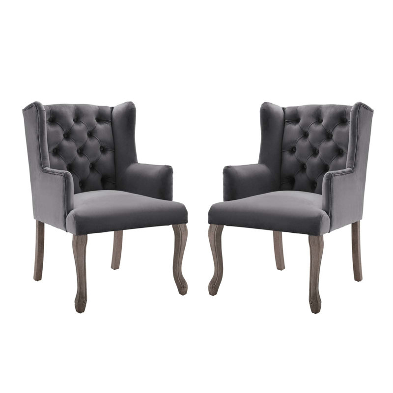 Realm Armchair Performance Velvet Set Of 2 In Grey