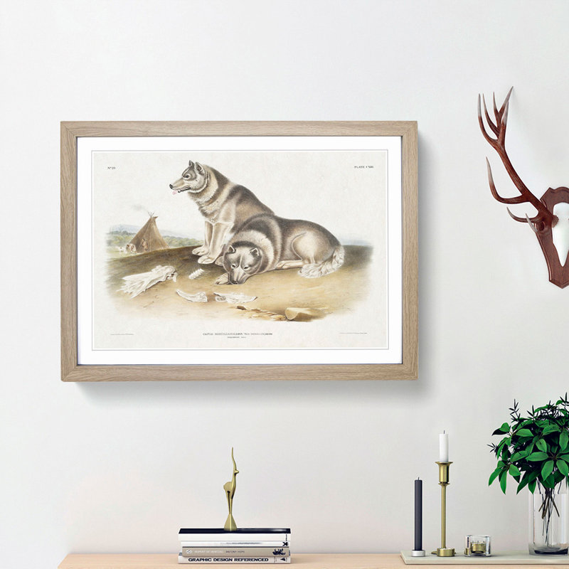 Eskimo Dog by J.W. Audubon - Picture Frame Painting Print, 36cm H x 48cm W x 2cm D, Oak Framed