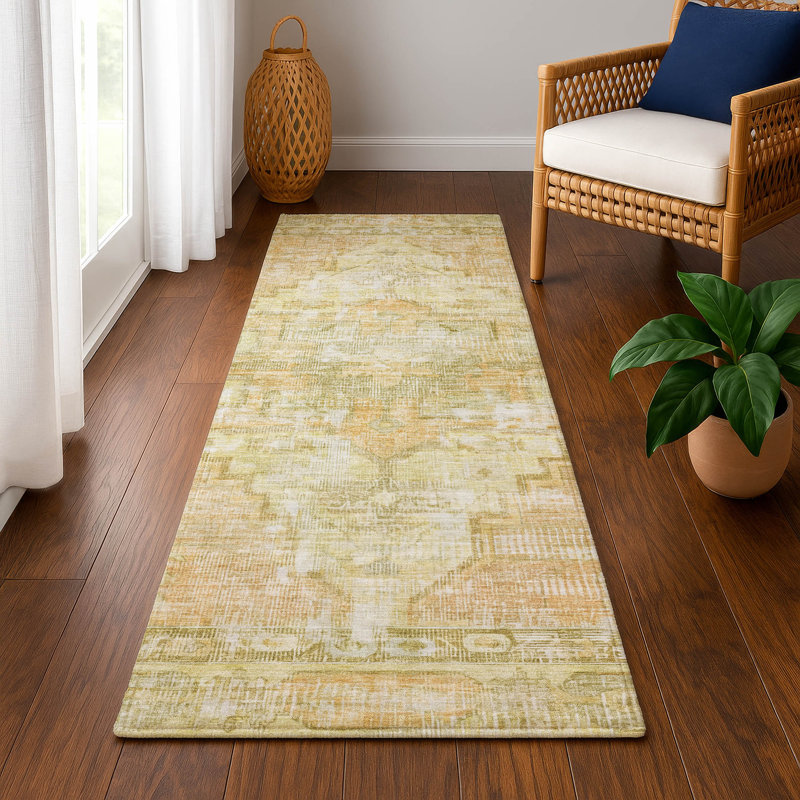 Premium Machine Washable Lucchesi AMF1729 Global Rug, Runner 2'3" x 7'6"