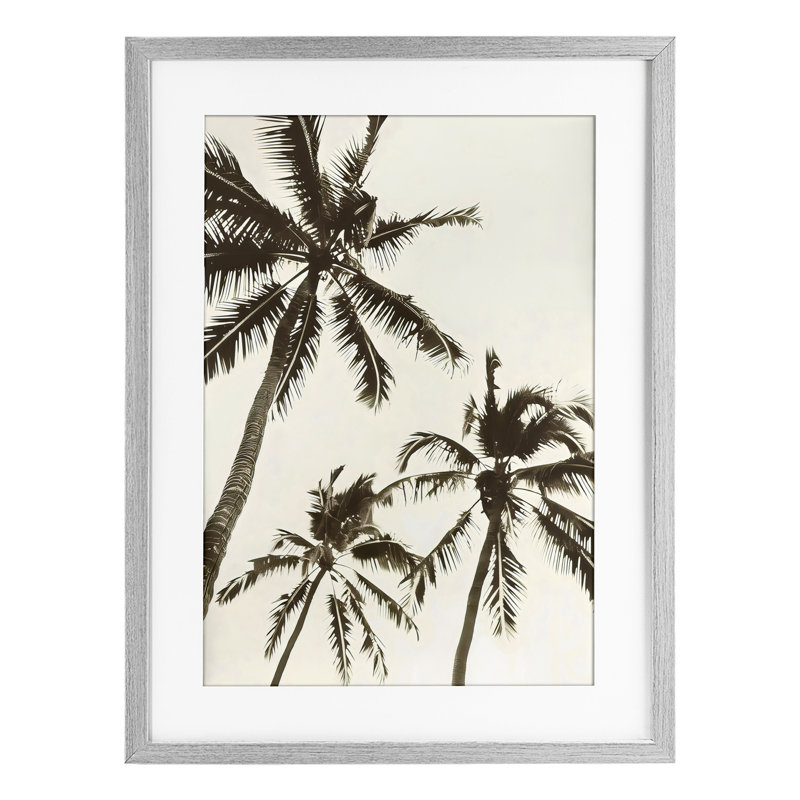 «Classic Palm Trees», reproduction encadrée sous verre, design par LSR Design Studio, H 20 po x l 14 po, Cadre de ferme gris
