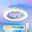 15cm Ceiling Fan