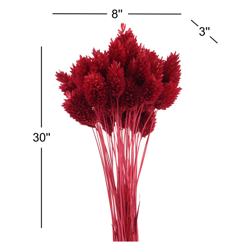 Arrangement, Red