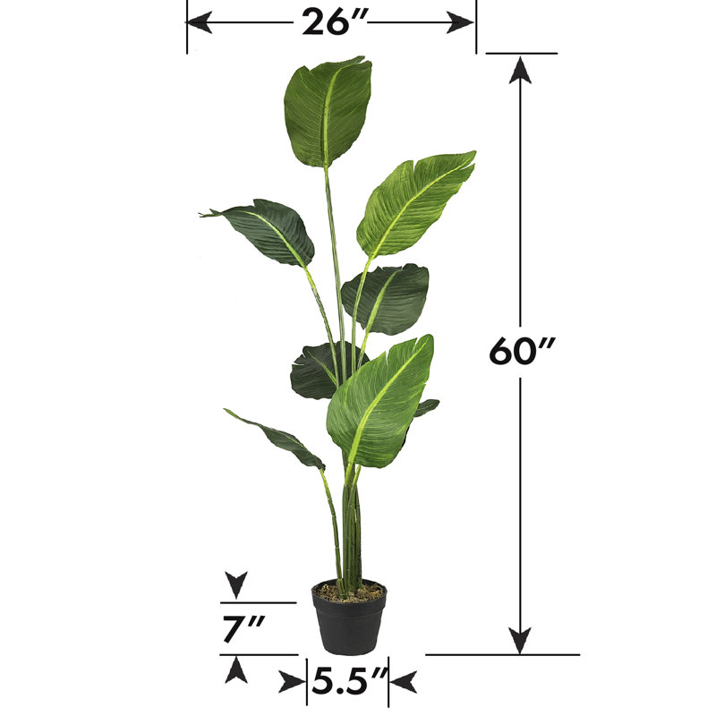Baskett 60'' Faux Banana Leaf Tree in Pot
