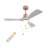 Jhamarion 42" Modern LED Ceiling Fan Chandelier with Remote-1331740347