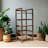Bookcase-1343261243