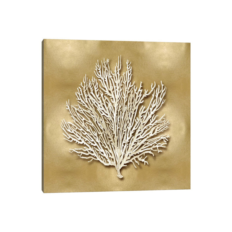 Sea Fan On Gold I by Caroline Kelly - Wrapped Canvas Print, 30.48 cm H x 30.48 cm W