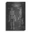«Anatomical Skeleton Blueprint Vernis Chalkboard», art mural en métal-1115949029