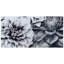 « fleurs », impression sur verre
