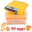 Symple Stuff Chasteen Egg Incubator