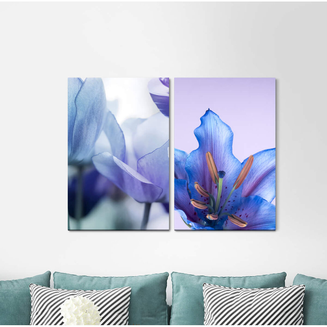 2-tlg. Leinwandbilder-Set - Fotografie „Tulips Flowers Summer Blossoms Blue Soft Delicate”