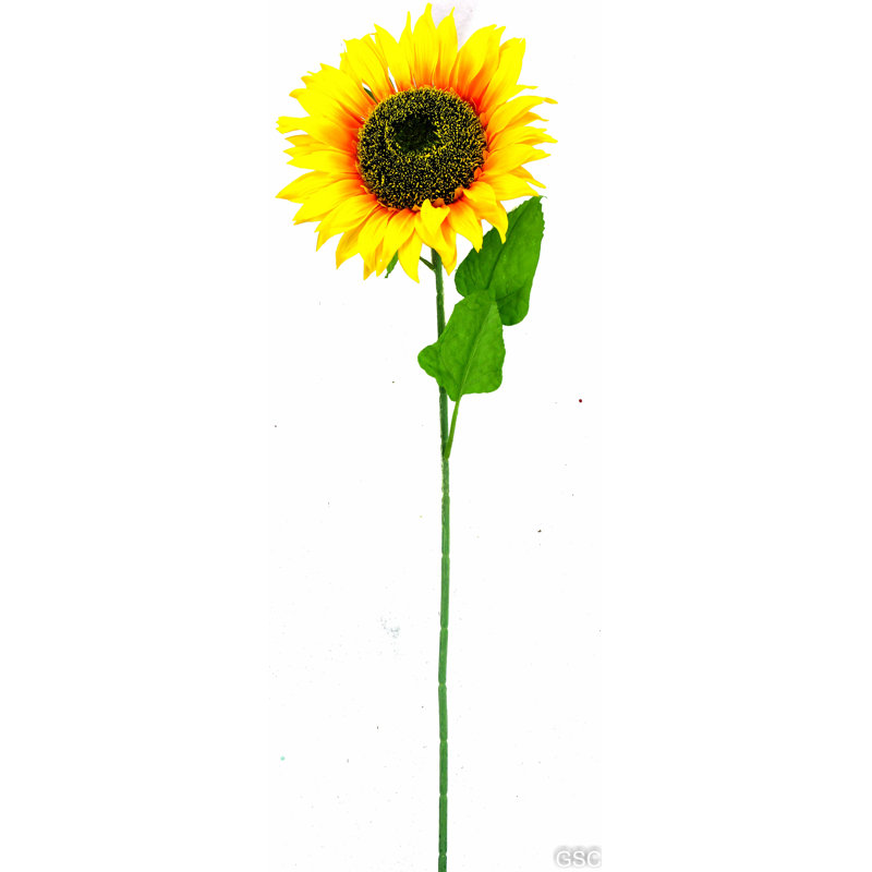 Tournesol artificiel, Jaune