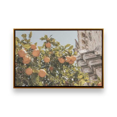 Reproduction sur bois de citronniers méditerranéen
