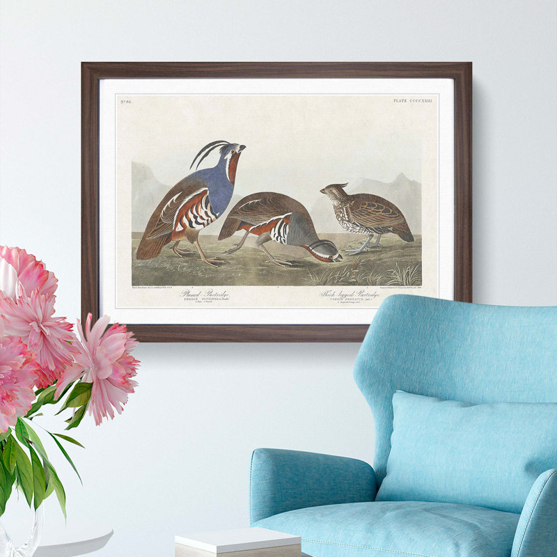 Partridge Birds by John Audubon - Framed Print, 27cm H x 36cm W x 2cm D, Walnut Framed
