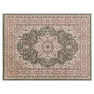 Mcnatt Oriental Area Rug