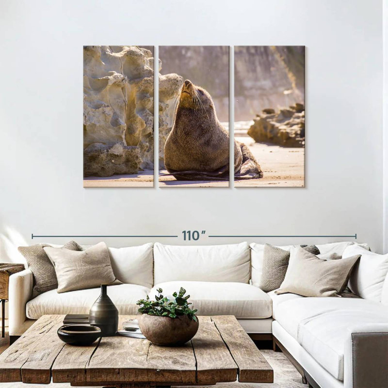 Sunbathing Seal, 48" H x 74" W