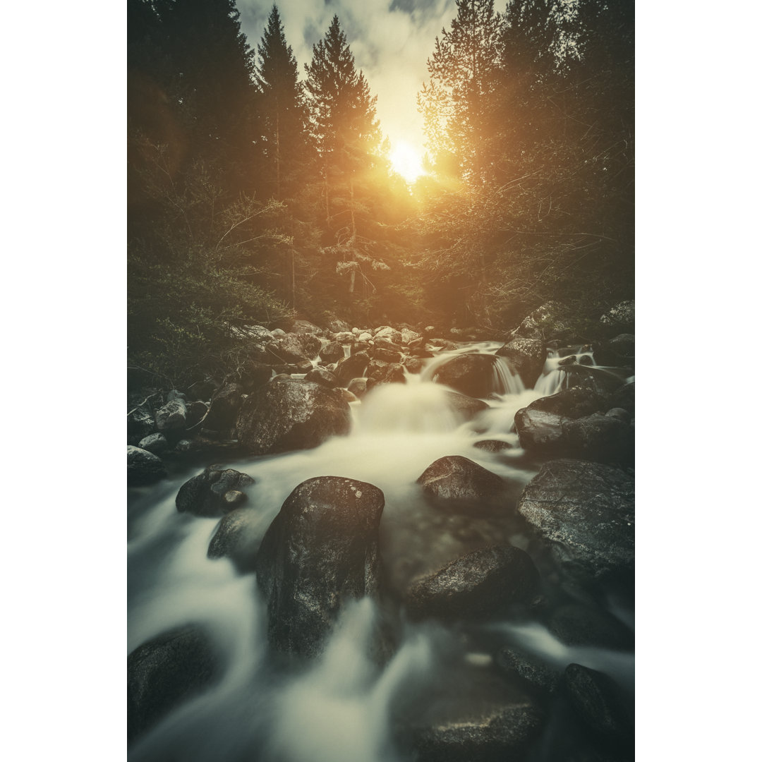 Stream In A Forest At Sunset by Da-kuk - Leinwandbild