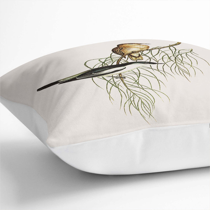 Shouldered Cuckooshrike by Elizabeth Gould Cushion with Filling, 40cm H x 40cm W x 15cm D, White