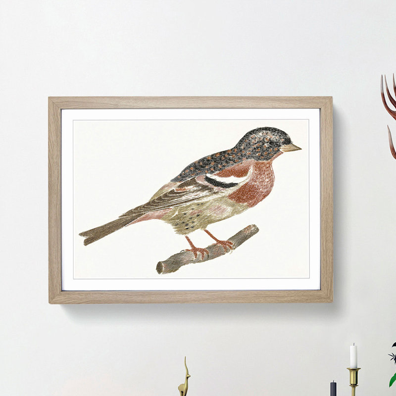 Bullfinch by Johan Teyler - Picture Frame Art Print, 48cm H x 65cm W x 2cm D, Oak Framed