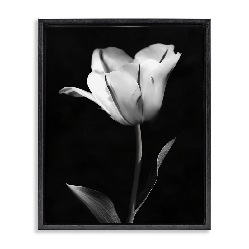 Cadre flottant Modern, Cadre flottant noir de jais, H 21 po x l 17 po
