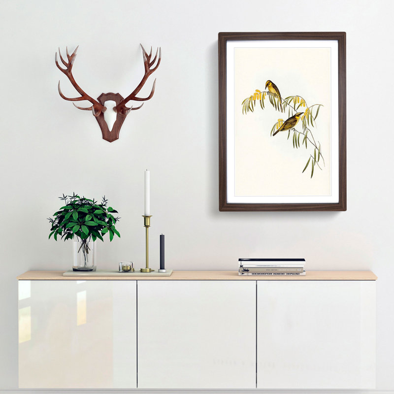 Plumed Honeyeaters by Elizabeth Gould - Picture Frame Painting Print, 36cm H x 27cm W x 2cm D, Walnut Framed
