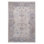 Tapis 5 x 7 brun / beige / traditionnel non délesté pour le salon, la chambre à coucher, la salle à manger et le bureau