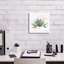 «Desert Color Succulent 1» par Sue Schlabach, art mural sur toile, 26 po x 26 po-2098449