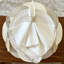 Firenze 22" Napkin-560259183