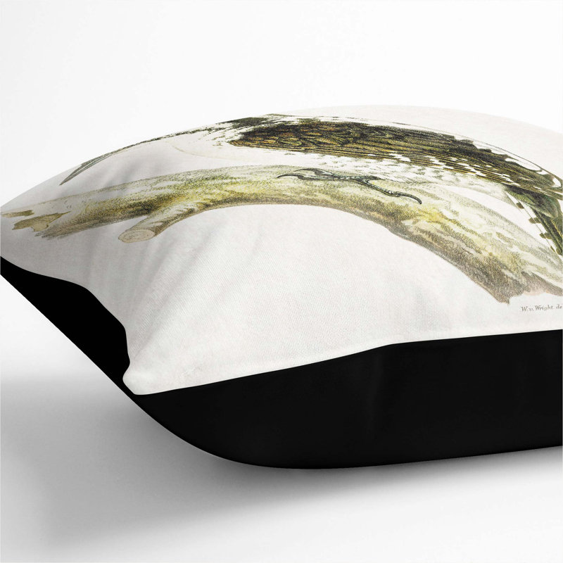 Three-Toed Woodpecker by Von Wright Cushion with Filling, 40cm H x 40cm W x 15cm D, Black