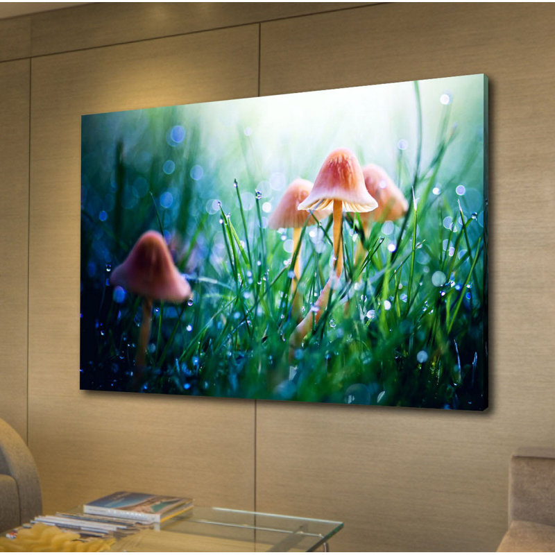 « fairytopia » par sylvia cook-reproduction de photo sur toile tendue, H 40 po x l 60 po x P 1,5 po