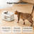 pet-Fountains-124562205