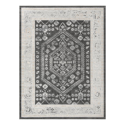 Akins Oriental Indoor Rug