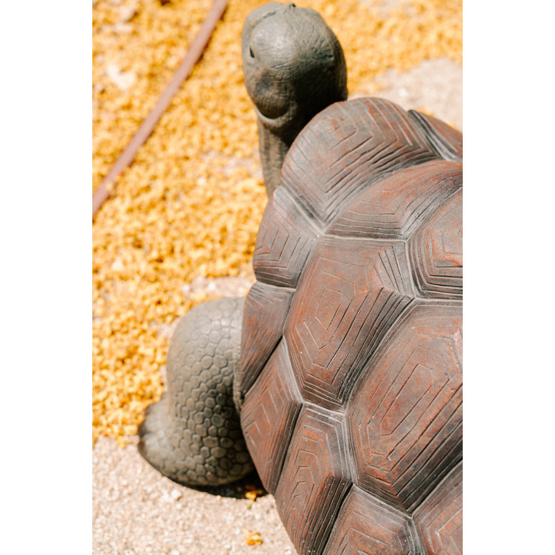 Tortoise Statue