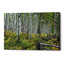 «Aspen Grove Rail Fence», art mural sur toile-25769401