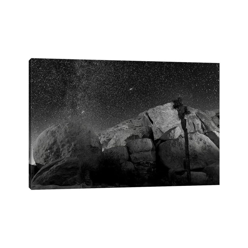Joshua Tree Sea Of Stars, 2017 by SVP Images - Wrapped Canvas Print, 101.6 cm H x 66.04 cm W