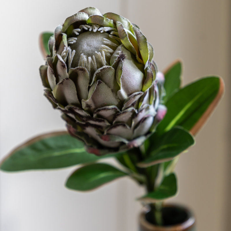 Arrangement